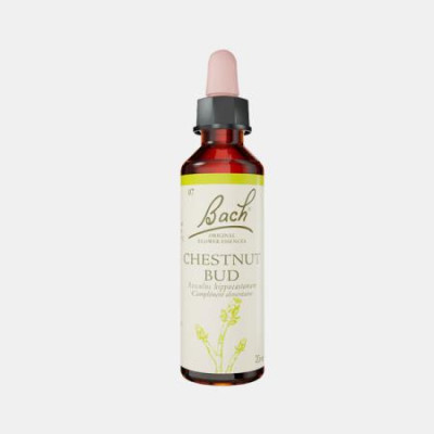 FLORAL BACH CHESTNUT BUD 20ml