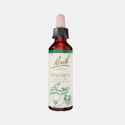 FLORAL BACH WALNUT 20ml