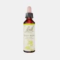 FLORAL BACH WILD ROSE 20ml