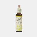 FLORAL BACH CLEMATIS 20ml
