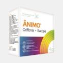 ANIMO GRIFFONIA + BACOPA 30 AMPOLAS