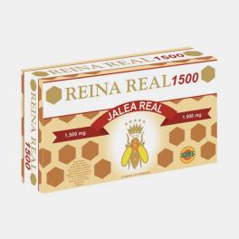 REINA REAL 1500 20 AMPOLAS