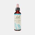 FLORAL BACH ROCK WATER 20ml