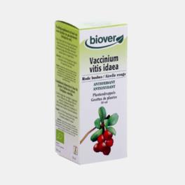 ARANDO VERMELHO -Vaccinium vitis idaea 50ml BIOVER