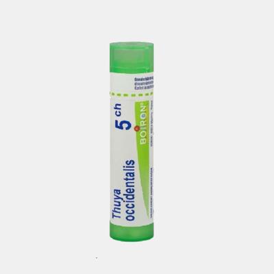 THUYA OCCIDENTALIS 5CH GRANULOS