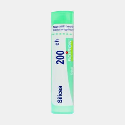 SILICEA 200CH 4g GRANULOS