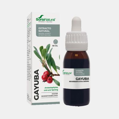 EXTRATO NATURAL UVA URSINA -  FORMULA XXI 50ml
