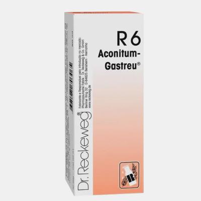 R6 50ml - Gripe, Constipação e Febre