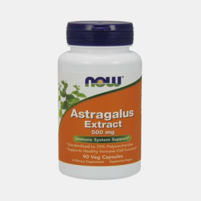 ASTRAGALUS EXTRACT 500mg 90 CAPSULAS