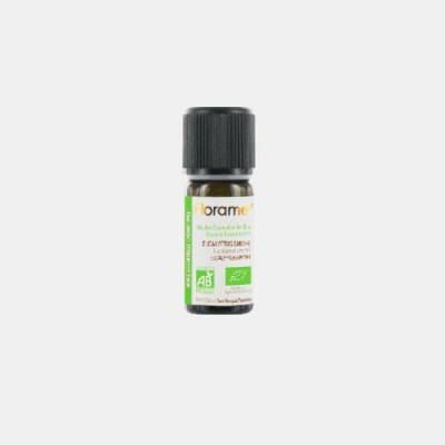 OLEO ESSENCIAL EUCALIPTO (EUCALYPTUS GLOBULUS) BIO 10ml