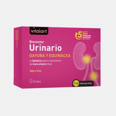 VITALART BEM ESTAR URINARIO 10 SAQUETAS