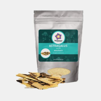 ASTRAGALUS EM PO BIO 500g