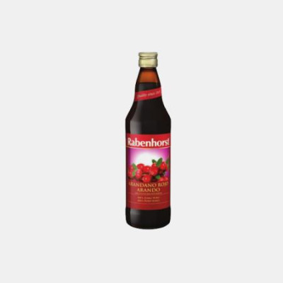 SUMO DE ARANDO 330ml