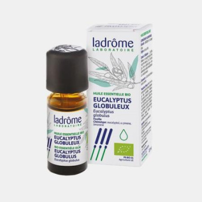 OLEO ESSENCIAL EUCALIPTO GLOBULUS BIO 30ml