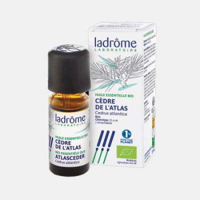 OLEO ESSENCIAL DE CEDRO BIO 10ml