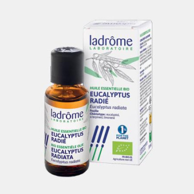 OLEO ESSENCIAL EUCALIPTO RADIATA BIO 30ml
