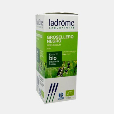 EXTRATO HIDROALCOOLICO GROSELHA RIBES NIGRUM BIO 